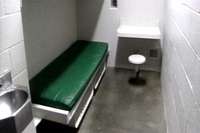 pariscell.jpg