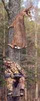 deer1.jpg