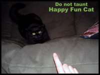 happycat.jpg