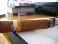 smokingrobustocohiba.jpg