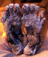 Feet.bmp