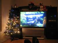 Treetime.JPG