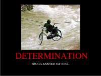 determinationfi3.jpg