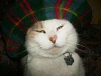pudpud.jpg