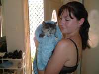 teh_kitty.jpg