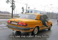 180_ridin bear.jpg