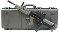 AEG-05-01.jpg