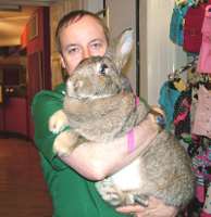 bunny.jpg