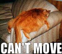 cantmove.jpg