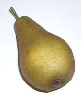 pear1.jpg
