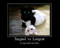 Tacgnola.jpg