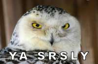 srsly-40515.jpg
