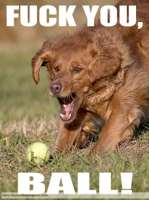 fuck-you-ball.jpg