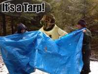 tarp.jpg