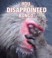 disappointedbongo.jpg