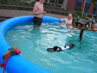 _medium_DSCN7823.JPG