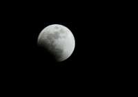 DSC04770.JPG