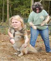maddoglady.jpg