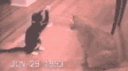 1128798957058.gif