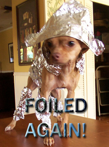 1269517.jpg