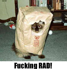 FUCKINGRAD.jpg