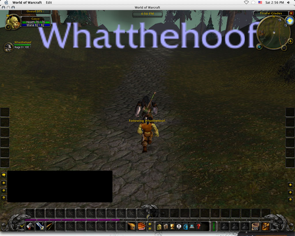 what_the_hoof_running.jpg