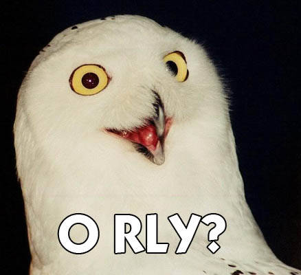 orlyowl.jpg