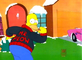 homermrplow.jpg