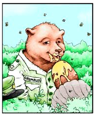 berticusberticus.jpg