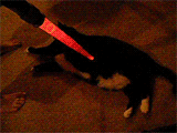 SaberStab.gif