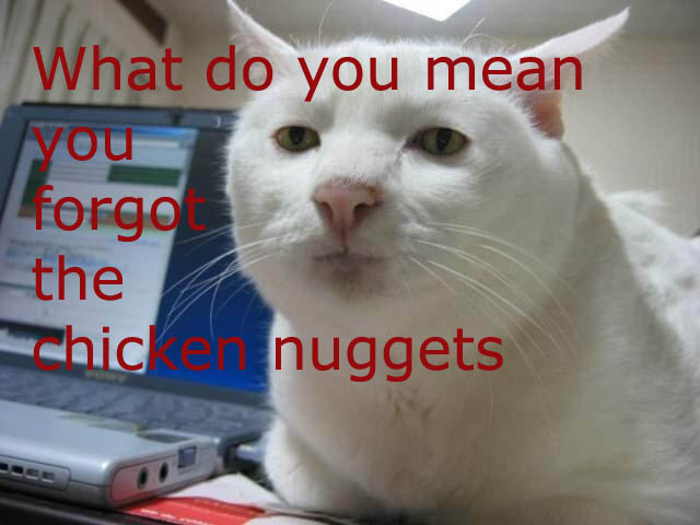 366_cat-nuggets.jpg