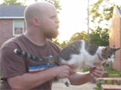 catgunpewpewpew.gif