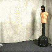 kickfall.gif