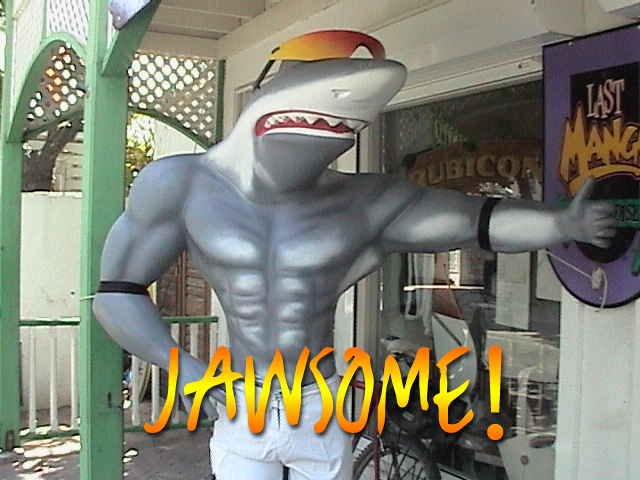 jawsome12128dg.jpg