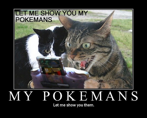 011_pokemancat.jpg