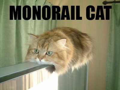602_834_MonorailCat.jpg