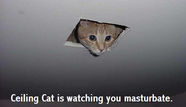 ceiling_Cat.jpg
