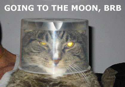 468_384_moon.jpg