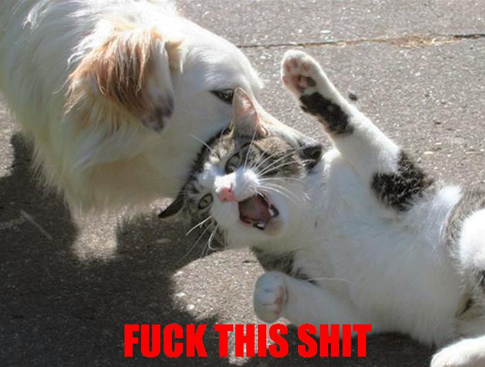 FUCK.JPG
