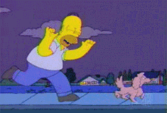 Homer Simpson Chase.gif