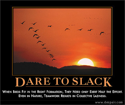 318_daretoslack.jpg