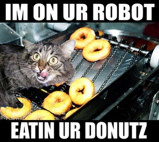 donut_cat.jpg