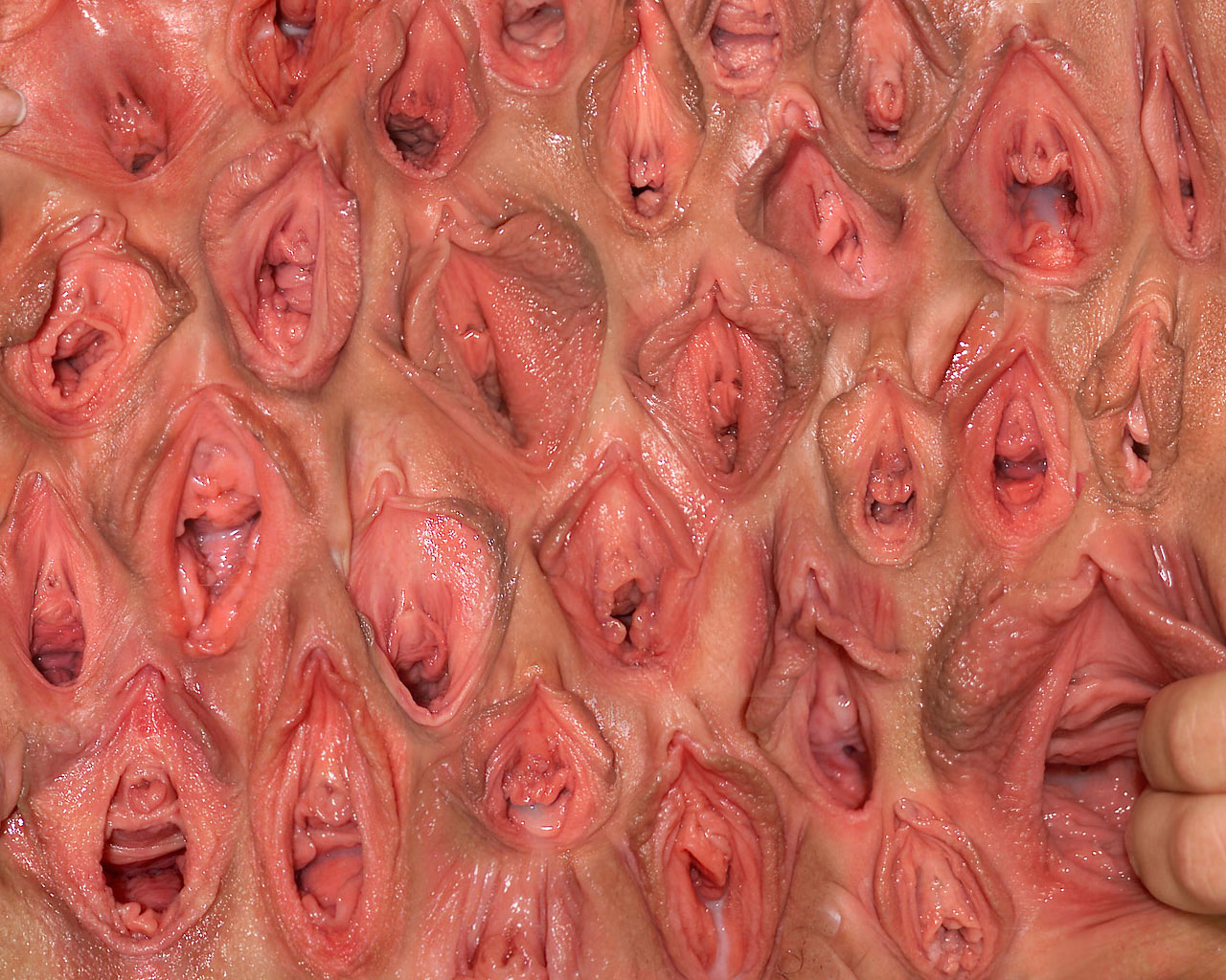 wall_of_vagina.jpg