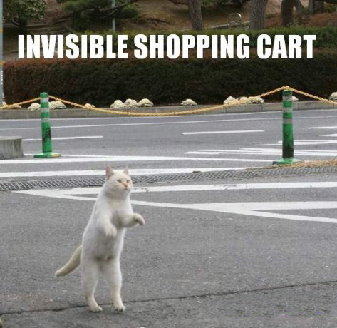 invisible2.jpg