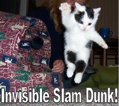 invisible3.png