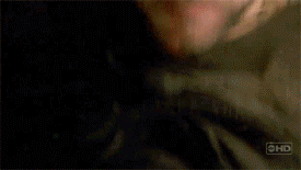 finalmessage.gif