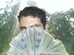 mycashmonies.png