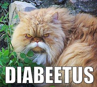 diabetus.jpg