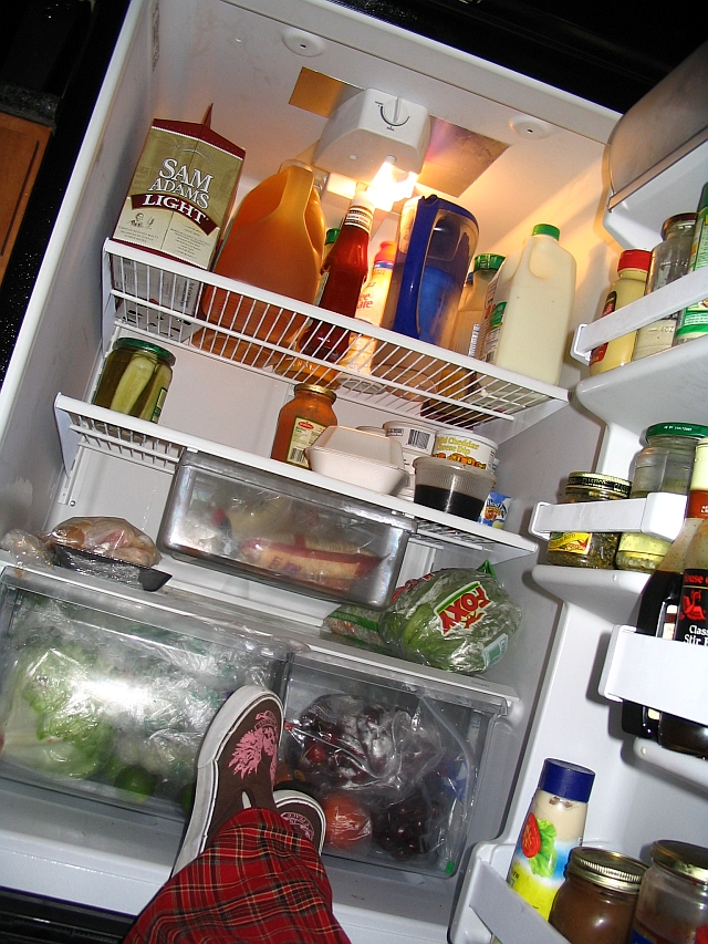 lollerfridge 003.jpg
