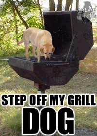1187034878.gif